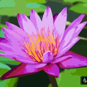 Meet your Posher, Kathleen